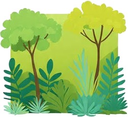 a book cover with a forest scene.jpg